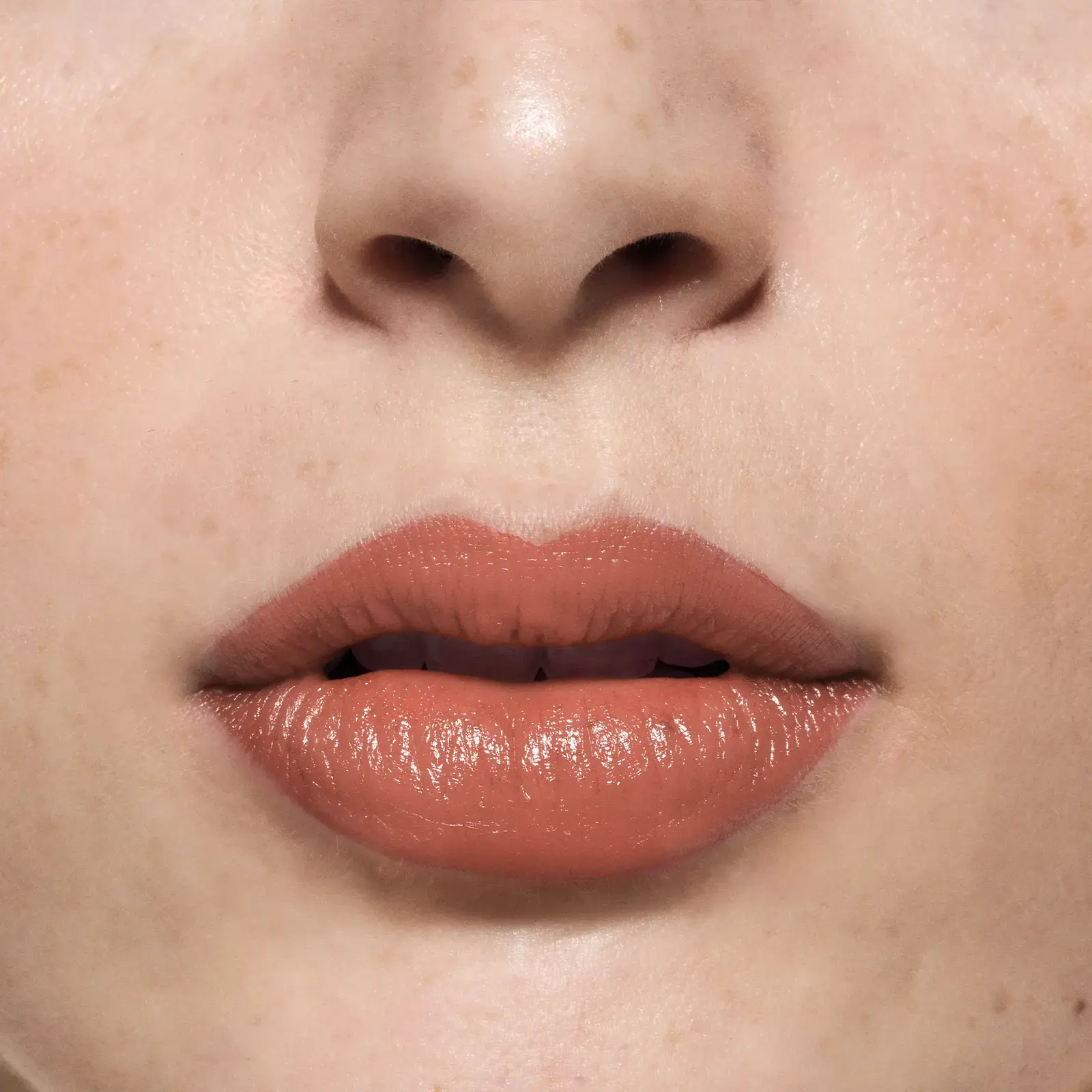 Lip Stylo - Dusty Rose